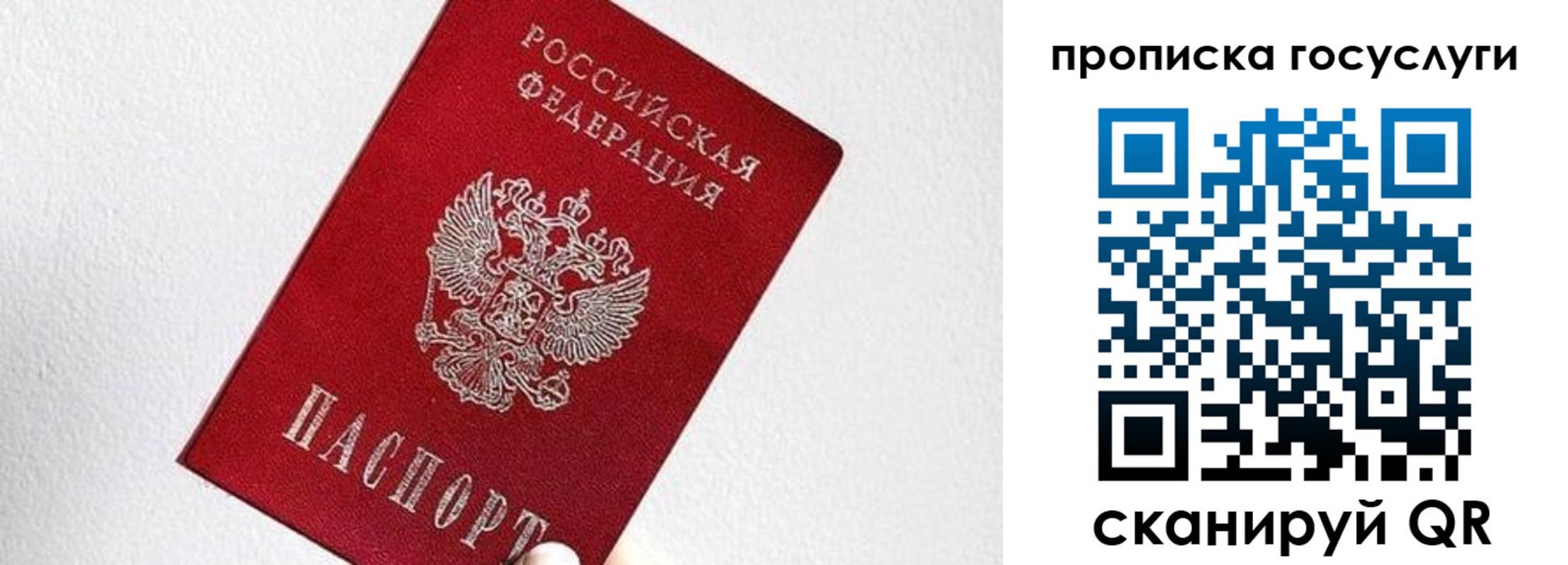 прописка законно в Сорочинске